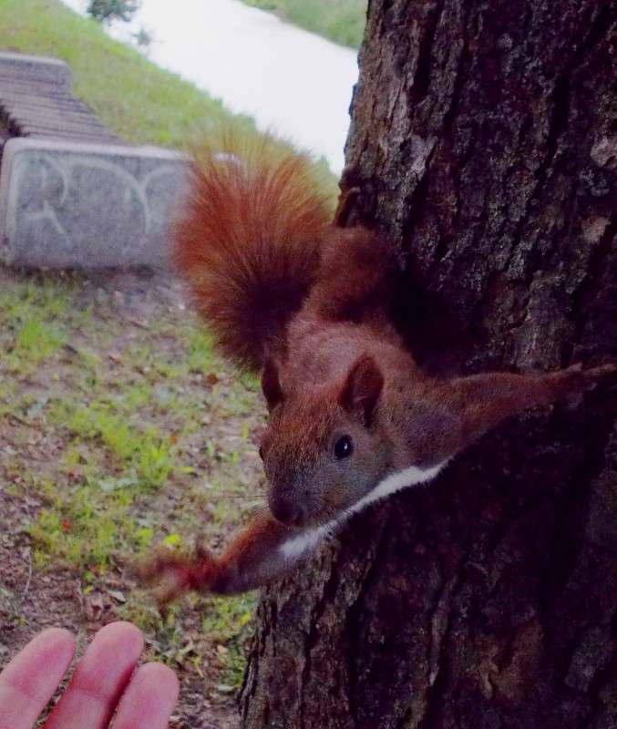 ... ����� ���