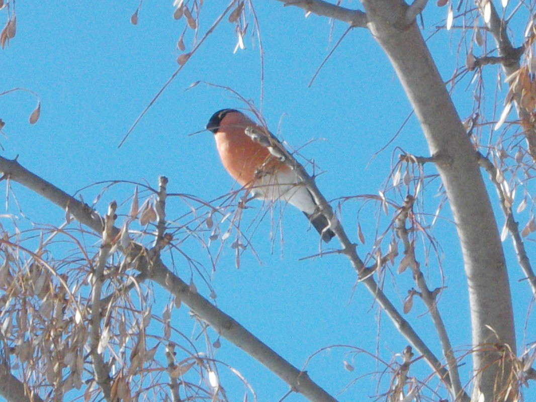 ... ����� ���