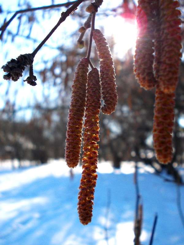 ... ����� ���