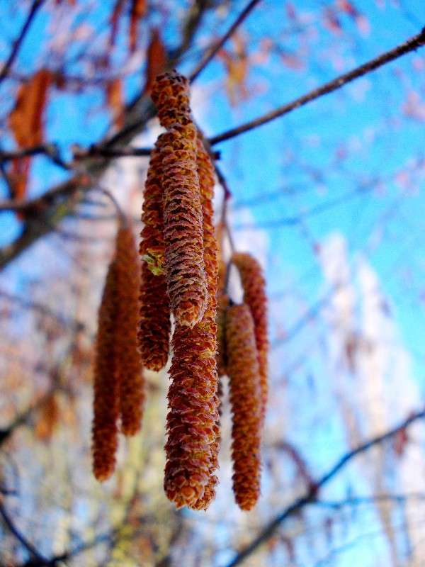 ... ����� ���