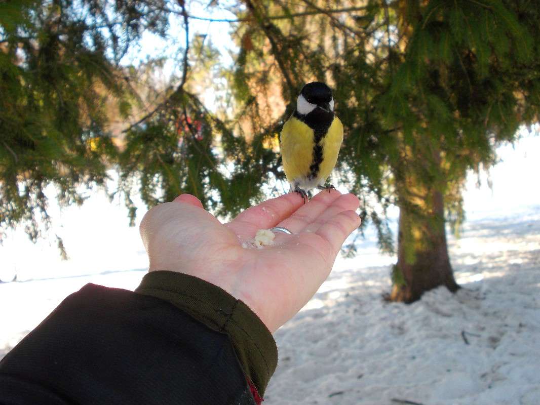 ... ����� ���