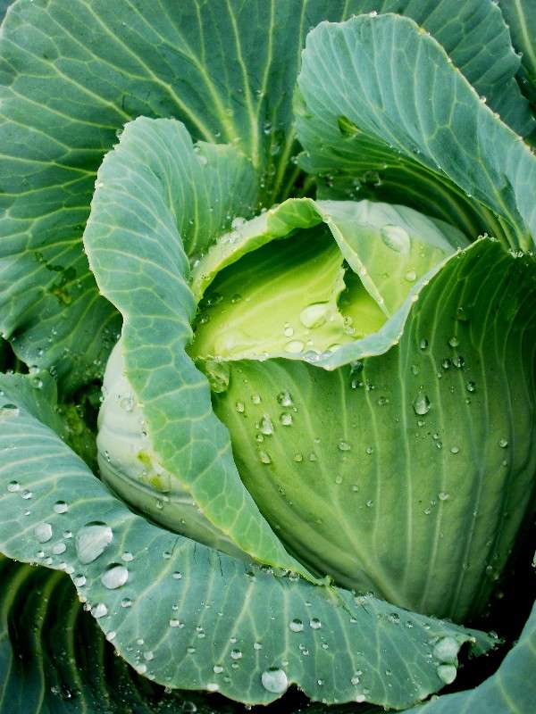 ... ����� ���