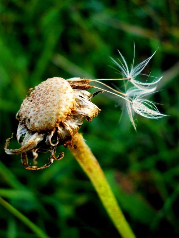 ... ����� ���