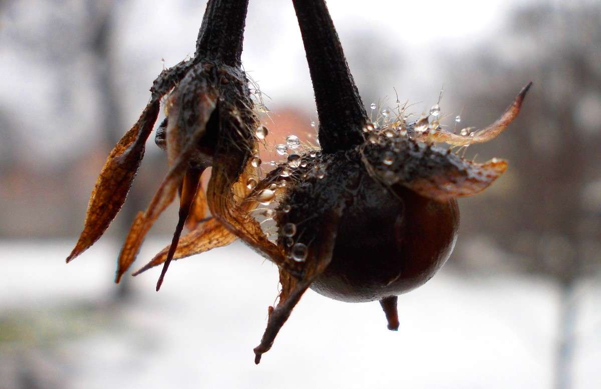 ... ����� ���