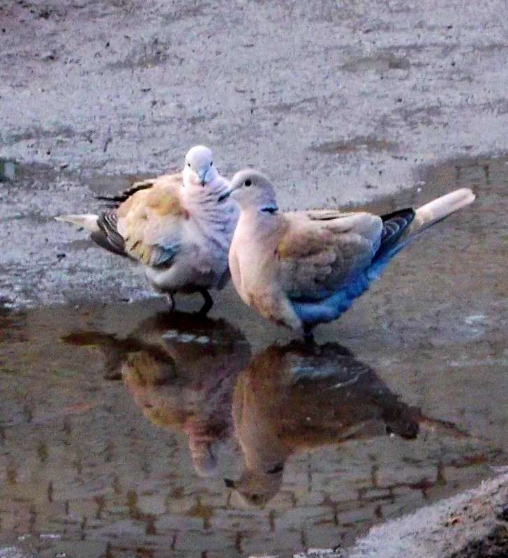 ... ����� ���