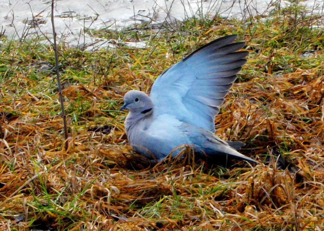 ... ����� ���