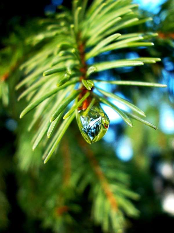 ... ����� ���