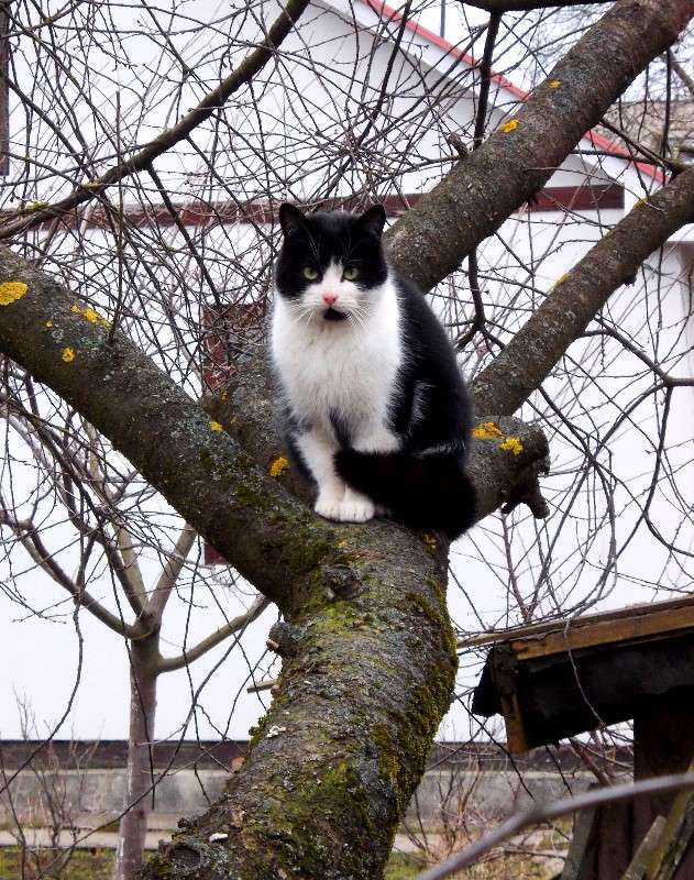 ... ����� ���