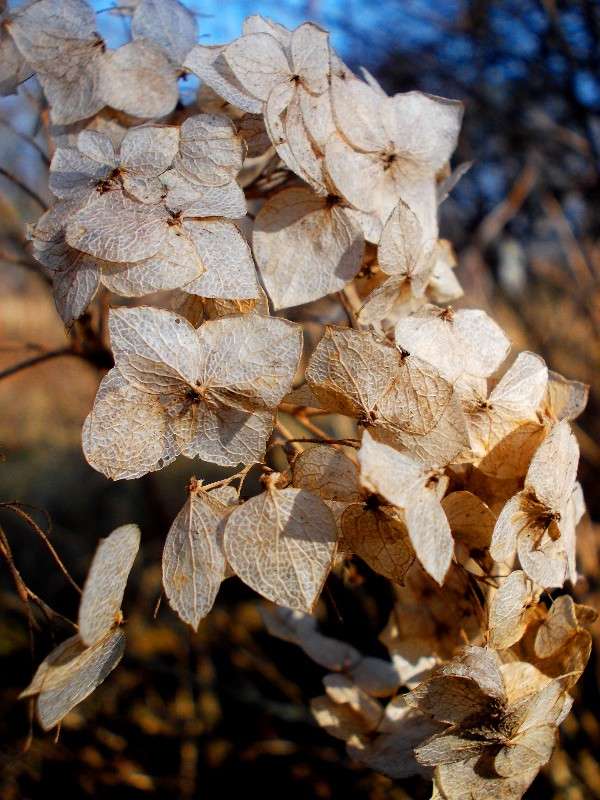 ... ����� ���