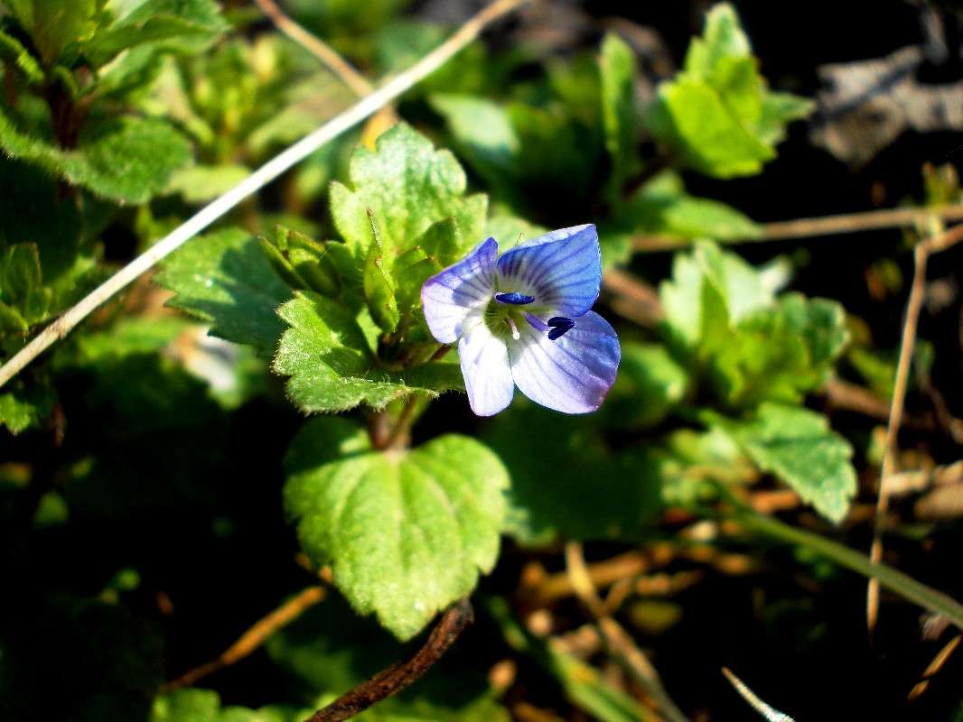 ���� �� ������ � ���� ���� ����� ���