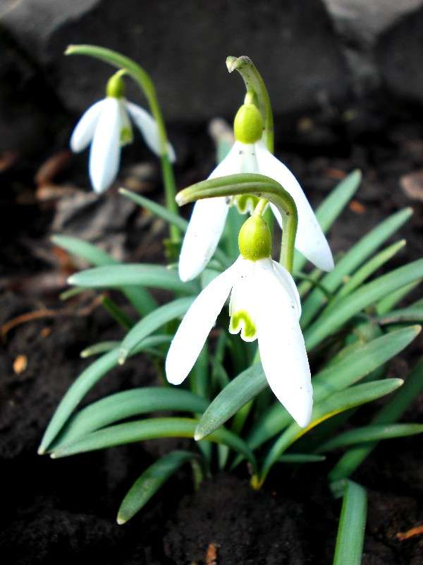 ... ����� ���