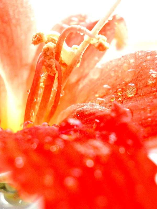 ... ����� ���