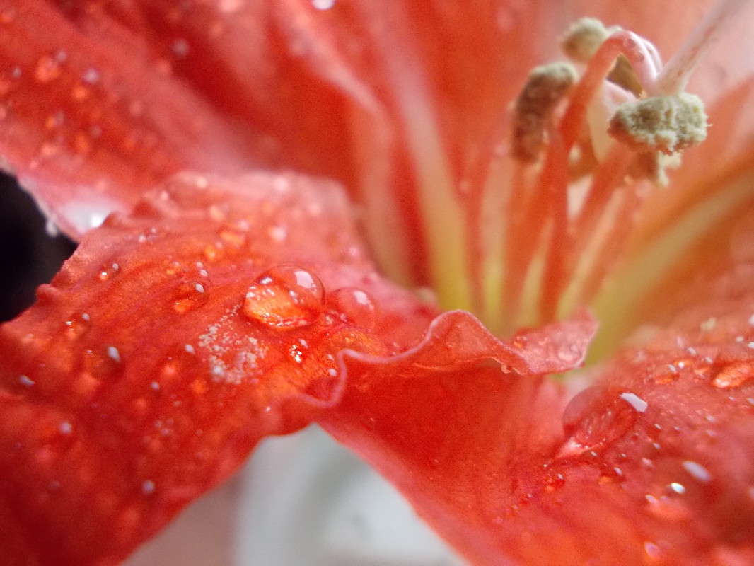 ... ����� ���