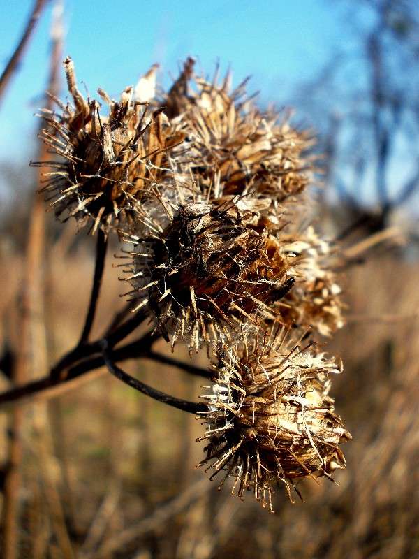 ... ����� ���