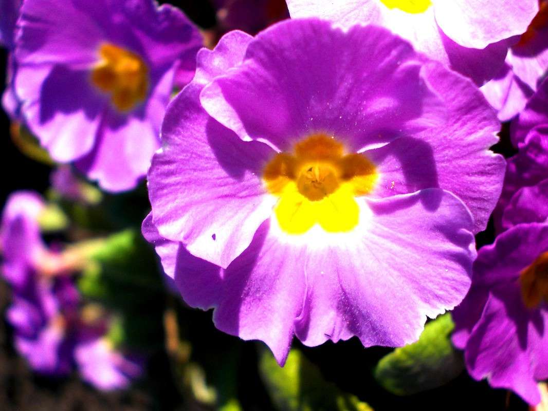 ... ����� ���