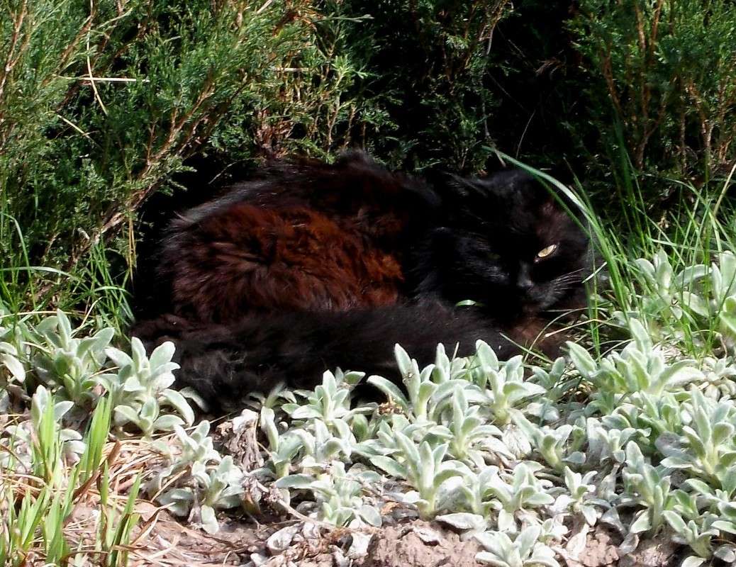 ... ����� ���