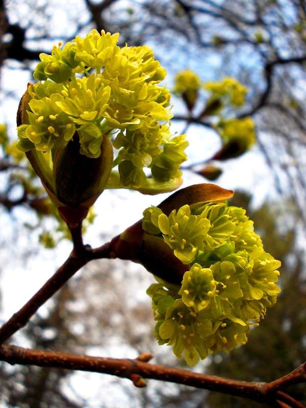 ... ����� ���