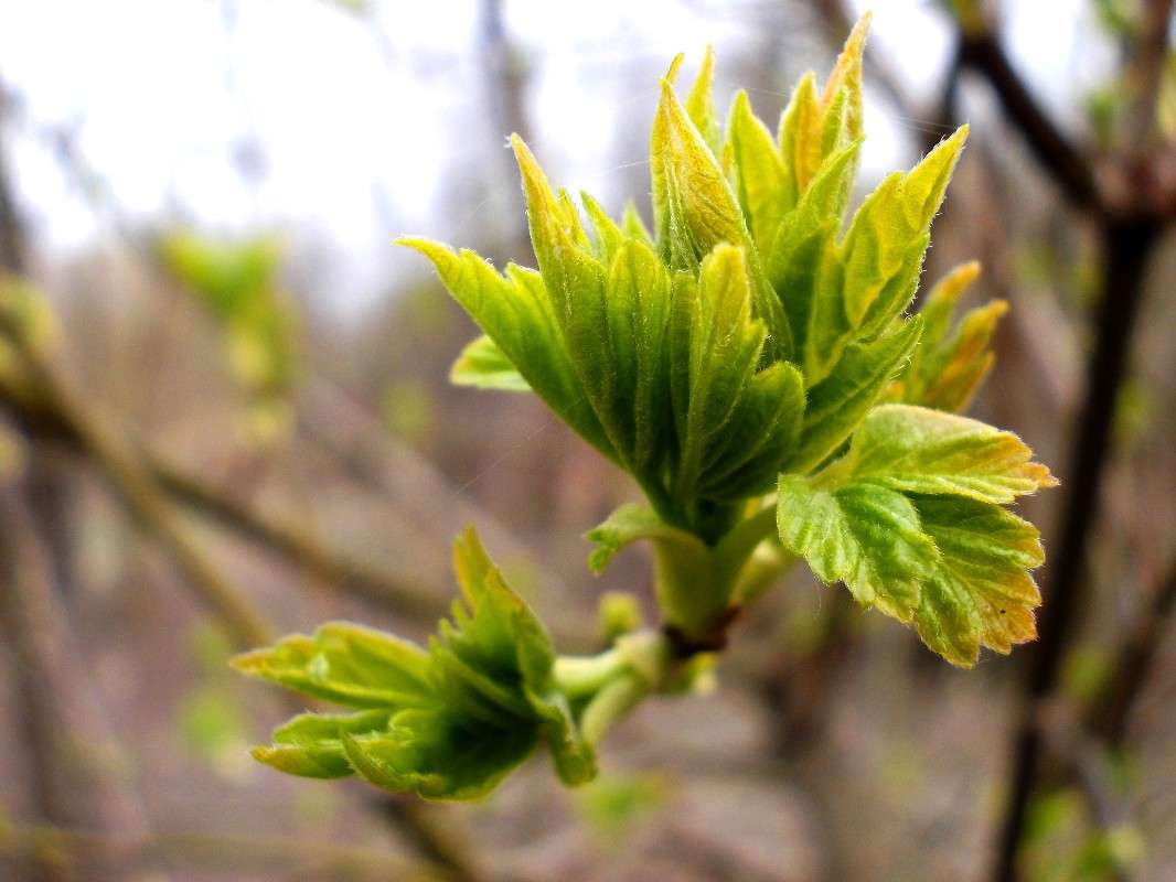 ... ����� ���