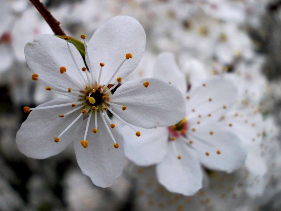 ... ����� ���