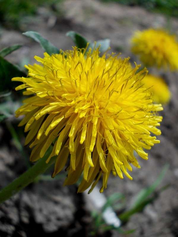 ... ����� ���