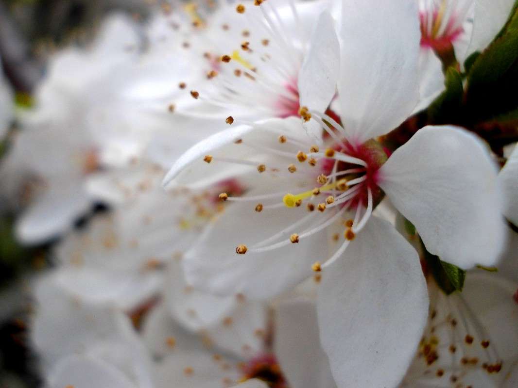 ... ����� ���