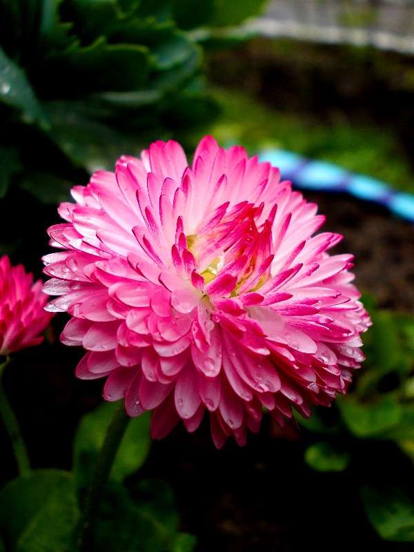 ... ����� ���