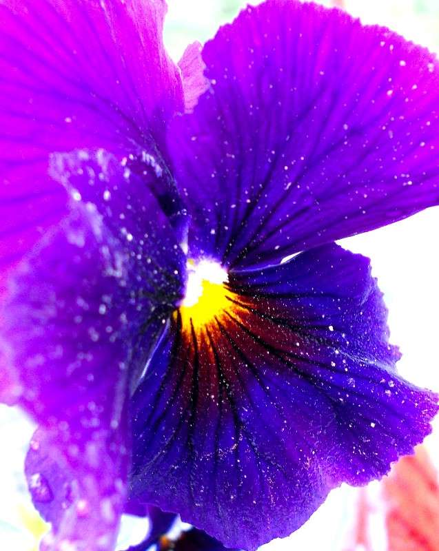 ... ����� ���