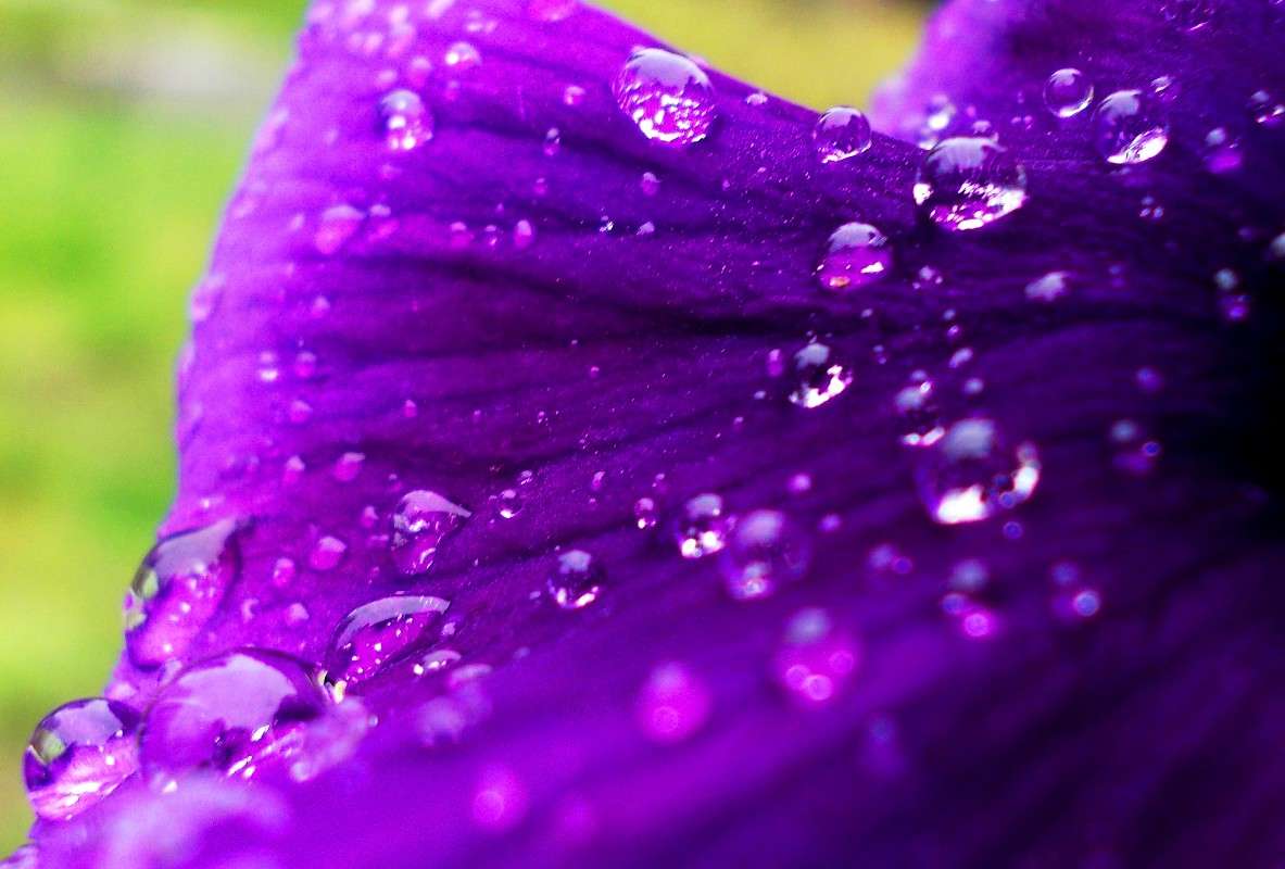 ... ����� ���