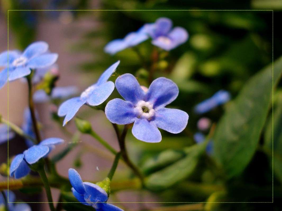 ... ����� ���