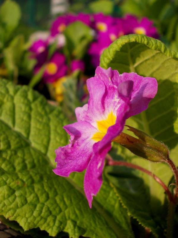 ... ����� ���