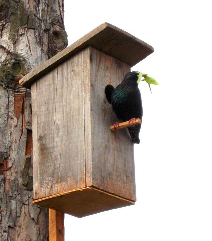 ... ����� ���