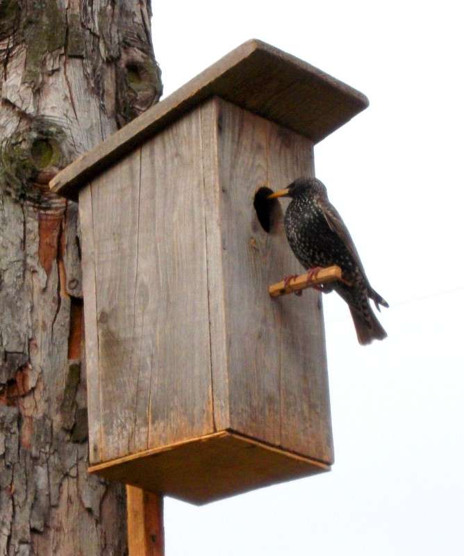 ... ����� ���