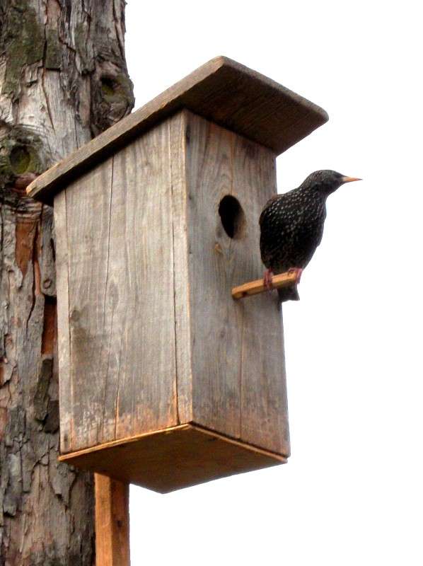 ... ����� ���