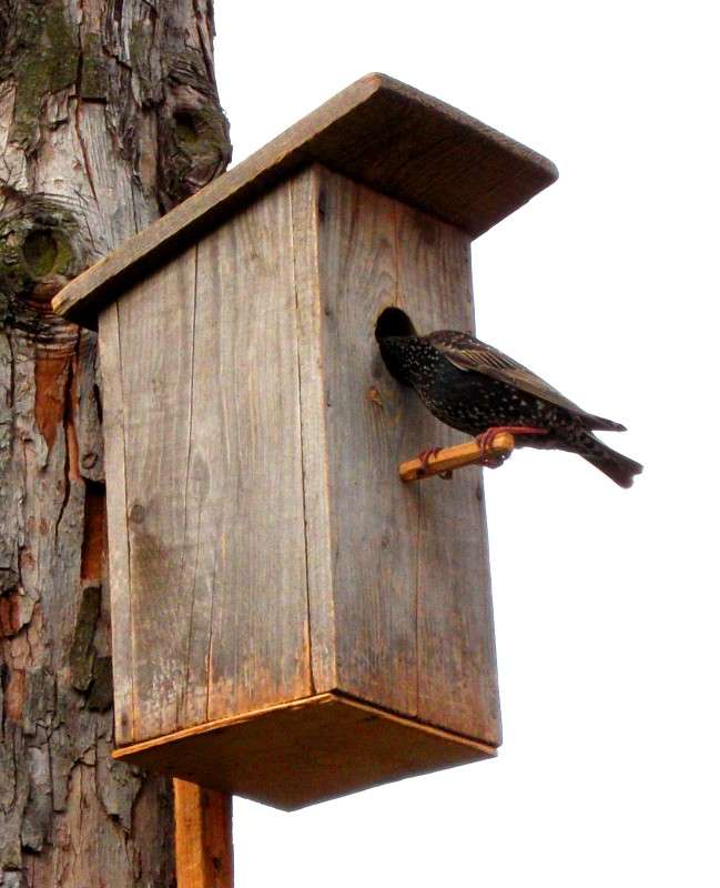 ... ����� ���