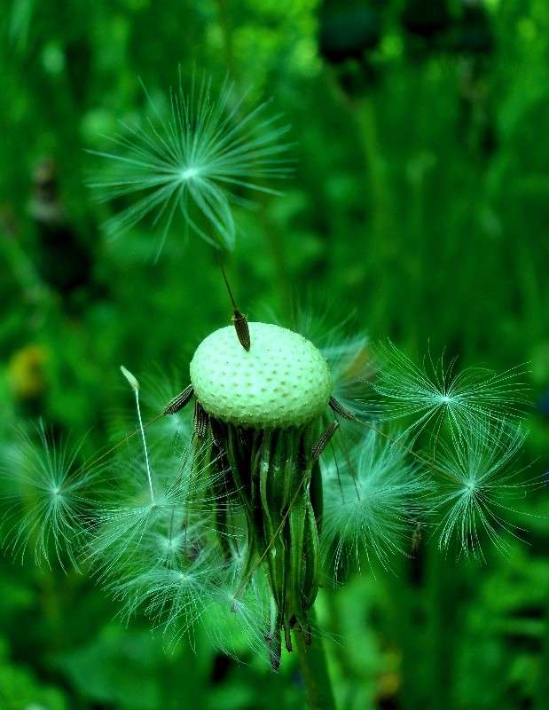 ... ����� ���