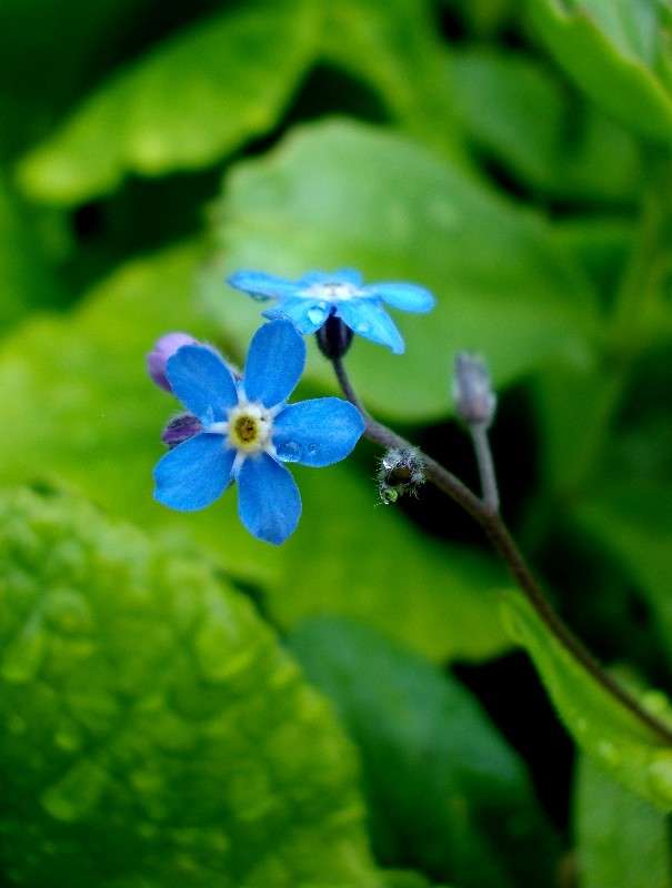 ... ����� ���