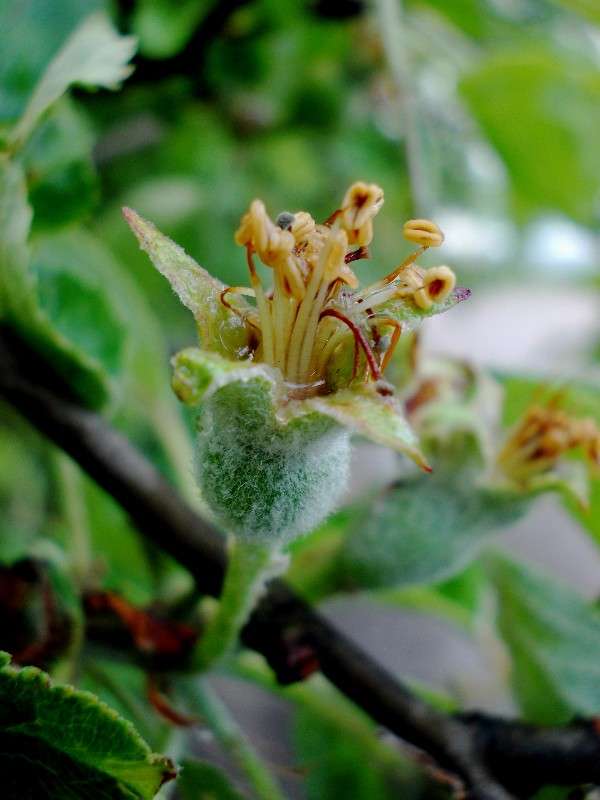 ������� ������� ����� ���