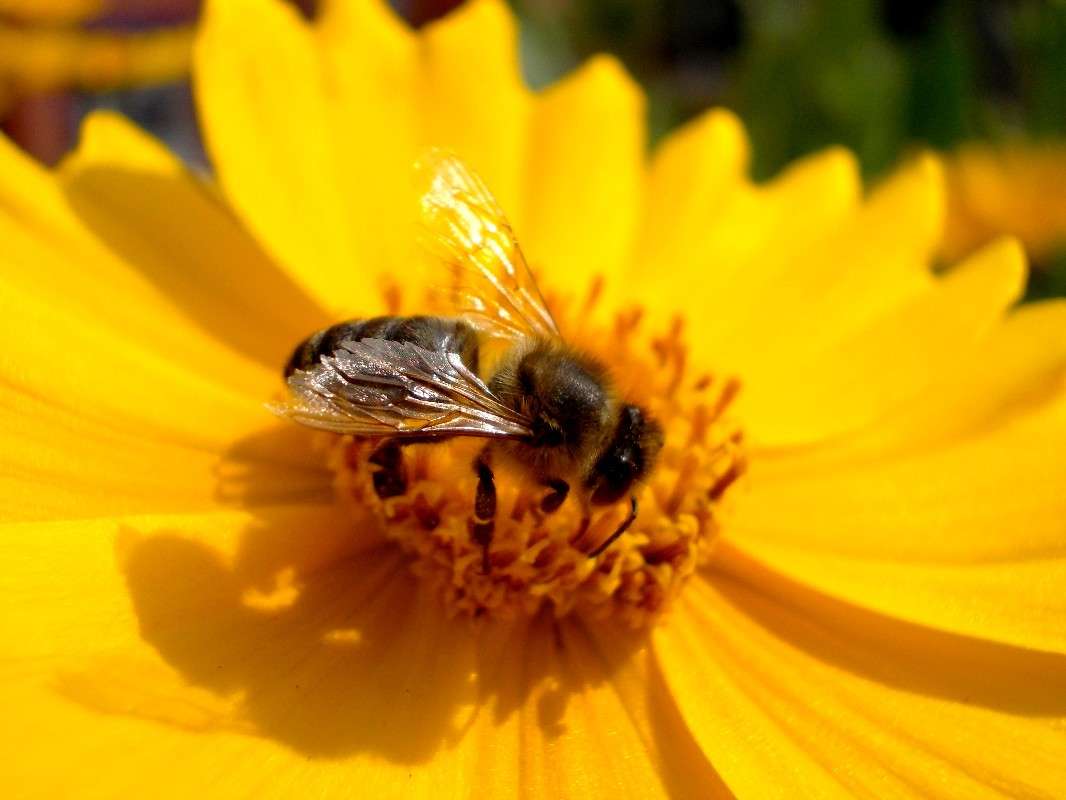 ... ����� ���