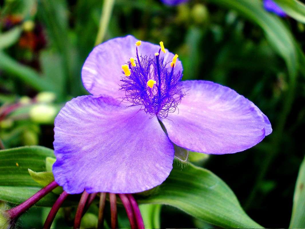 ... ����� ���