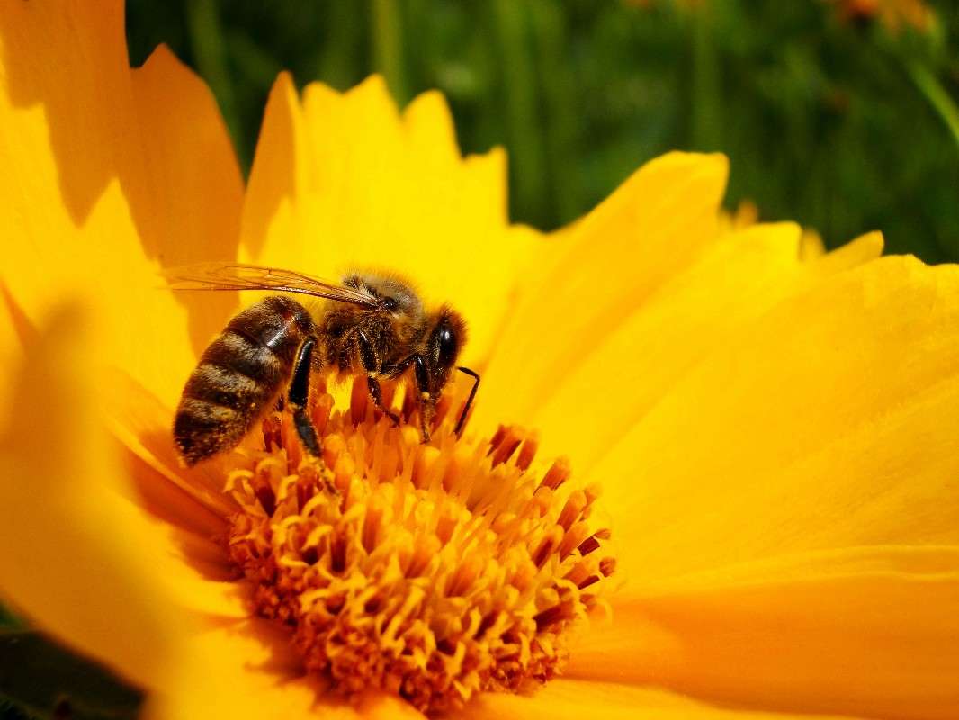 ... ����� ���