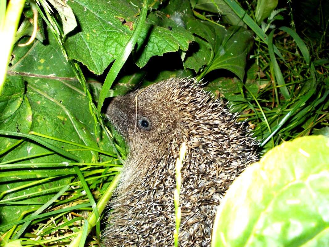 ... ����� ���