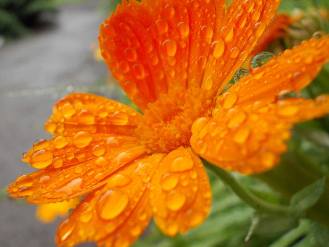 ... ����� ���