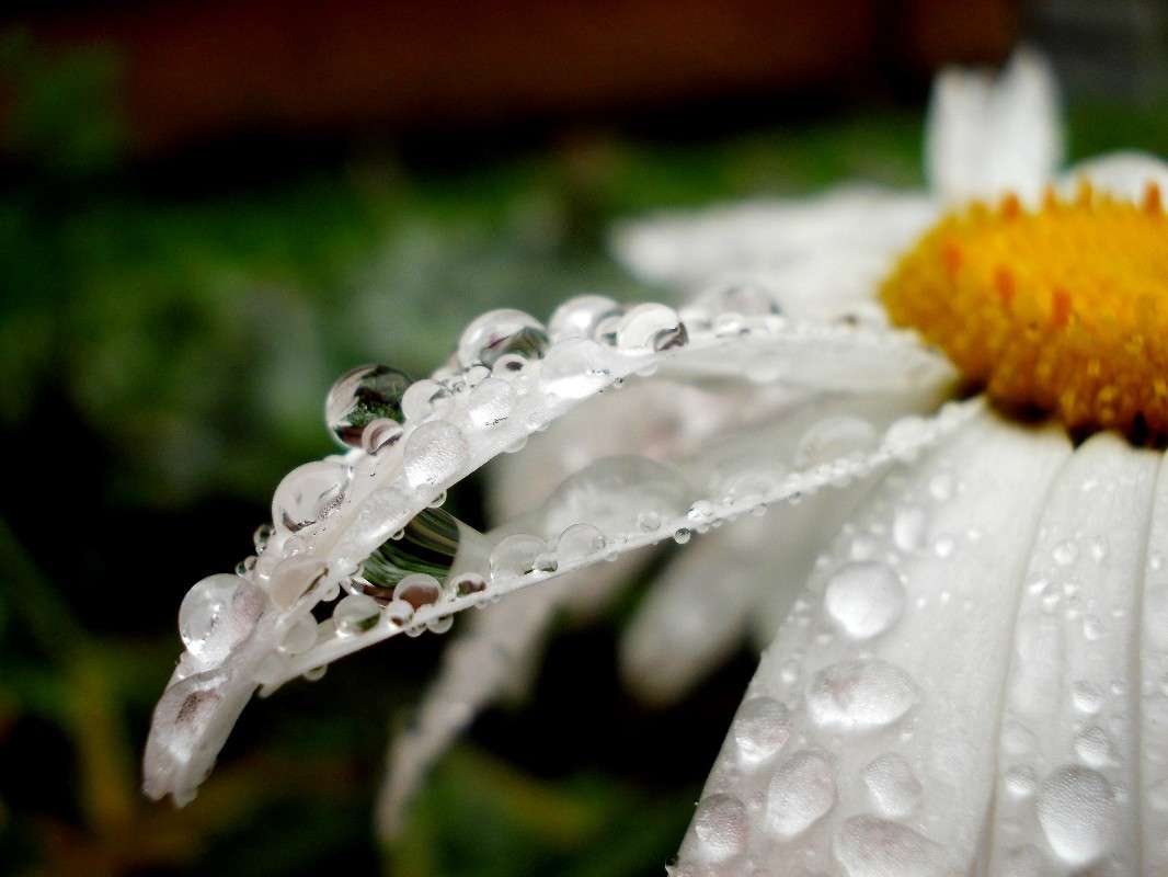 ... ����� ���