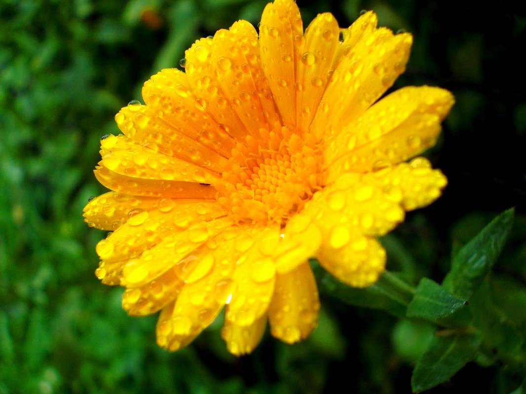 ... ����� ���