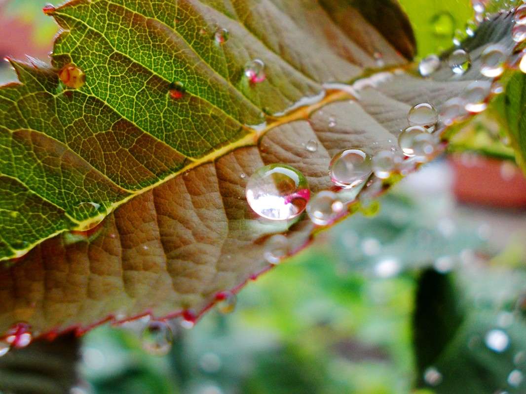 ... ����� ���