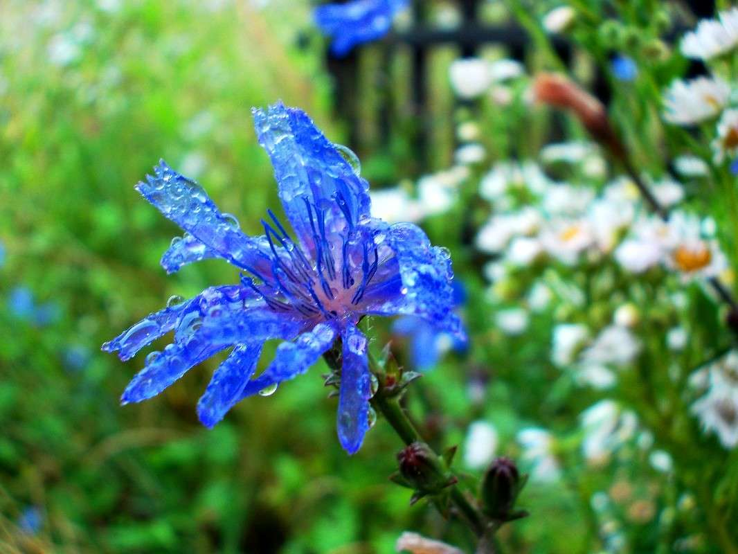 ... ����� ���