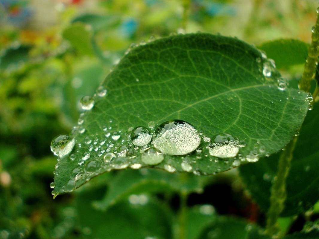 ... ����� ���