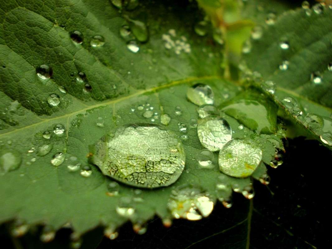 ... ����� ���