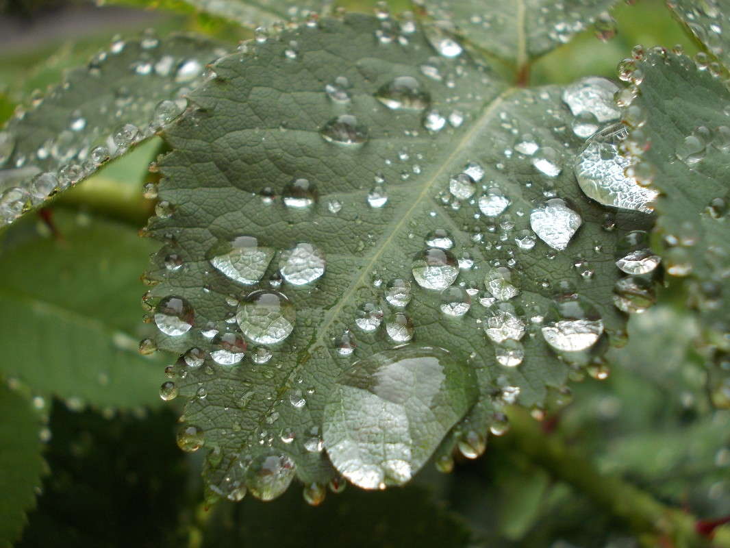 ... ����� ���