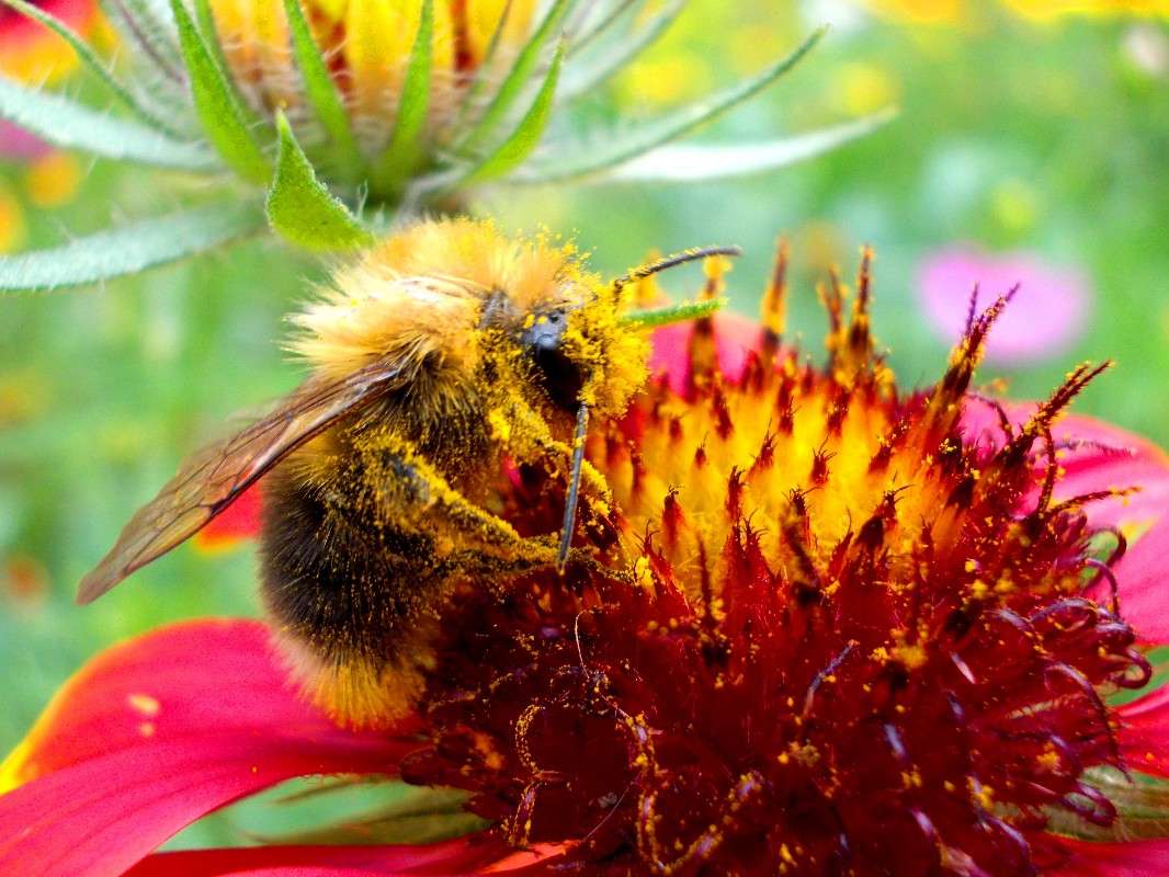 ... ����� ���